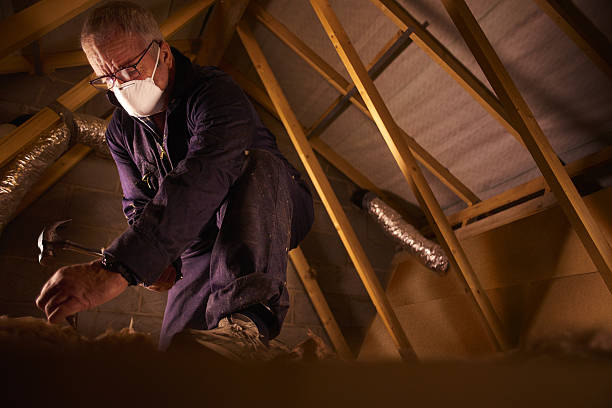 Best DIY Insulation Kits and Guidance in Beckett Ridge, OH