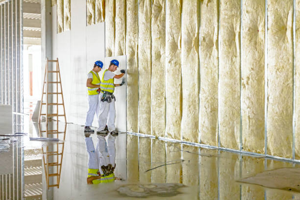 Best Geographic-Specific Insulation Services in Beckett Ridge, OH